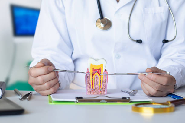Best Emergency Dentist for Special Needs Patients in Wolverine Lake, MI
